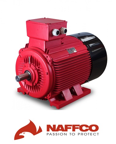 electric-motor-naffco.png